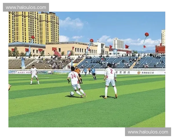 激情绿茵燃动陈仓大地宝鸡足球联赛展现城市体育新风貌
